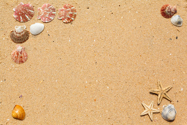 Similar image 2347836