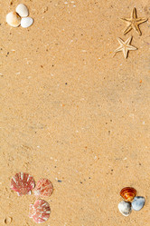 Similar image 2347841