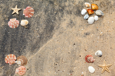 Similar image 2347848