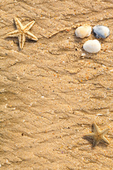 Similar image 2347853