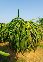 Similar image 2347860