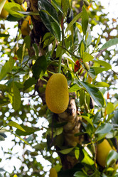 Similar image 2347864