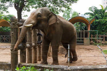 Similar image 2347868