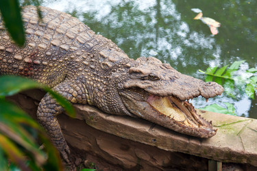 Similar image 2347875