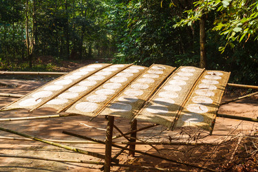 Similar image 2347880