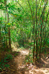 Similar image 2347887