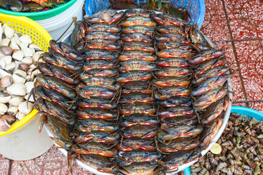 Similar image 2347893