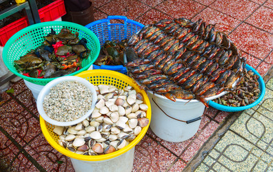 Similar image 2347896