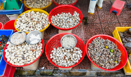 Similar image 2347902