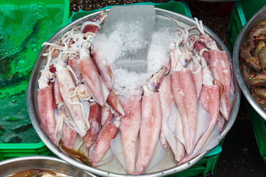 Similar image 2347905