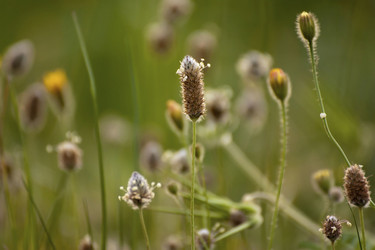 Similar image 2347908