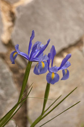 Similar image 2348056