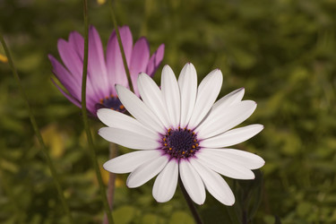 Similar image 2348131