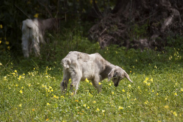 Similar image 2348134