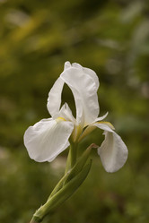 Similar image 2348176