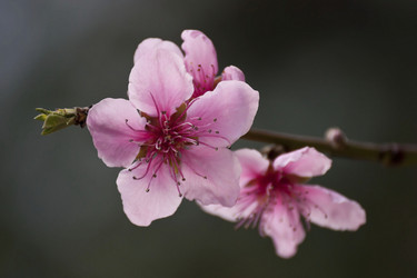 Similar image 2348248