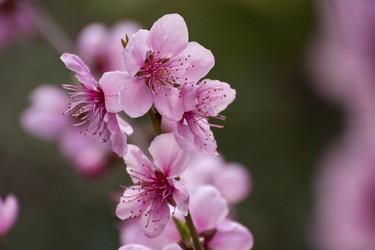 Similar image 2348249