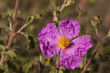 Similar image 2348252