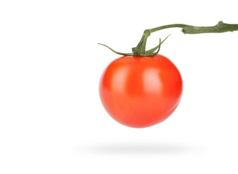 Similar image 2348762