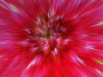 Similar image 2360414