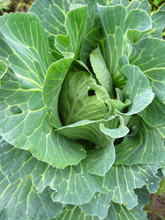 Similar image 2360418