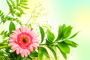 Similar image 2360559