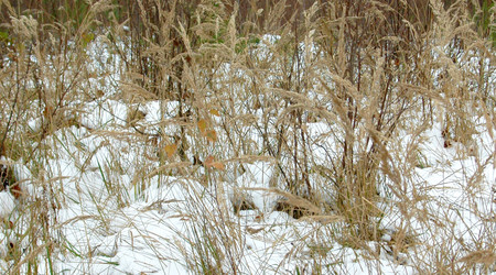 Similar image 2361306