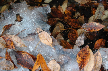 Similar image 2361307