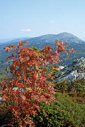 Similar image 2361310