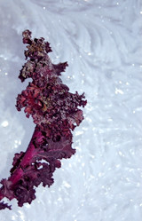 Similar image 2361313