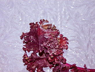 Similar image 2361315