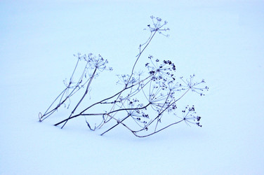 Similar image 2361320