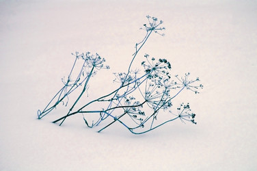 Similar image 2361322