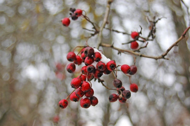 Similar image 2361323