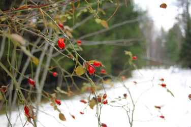 Similar image 2361325