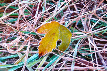 Similar image 2361326