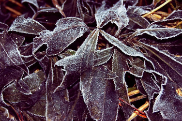 Similar image 2361328