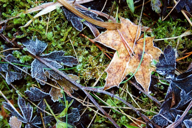 Similar image 2361330