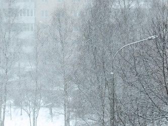 Similar image 2361331