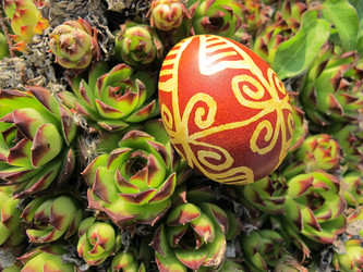 Similar image 2361420