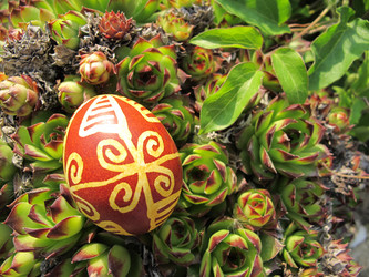 Similar image 2361422