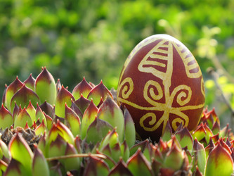 Similar image 2361431