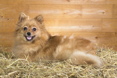 Similar image 2361683