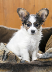 Similar image 2361686