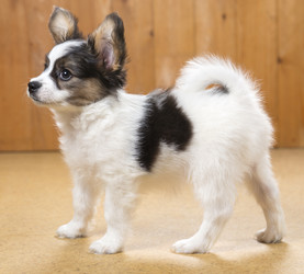 Similar image 2361691