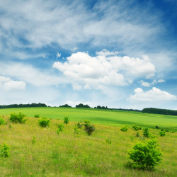 Similar image 2362392