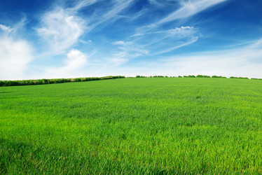 Similar image 2362393