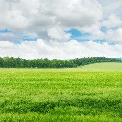 Similar image 2362481