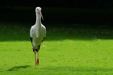 Similar image 2362484