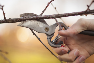 Similar image 2362746